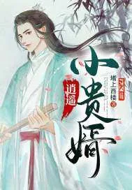 逍遥小贵婿 Buchcover