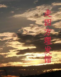 走四方理发馆 book cover