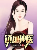 镇国神医 book cover