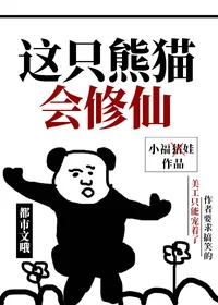 这只熊猫会修仙 book cover