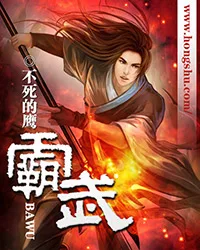 霸武 book cover