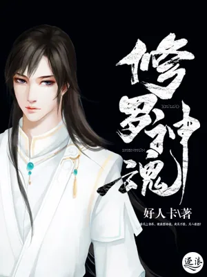 修罗神魂 book cover