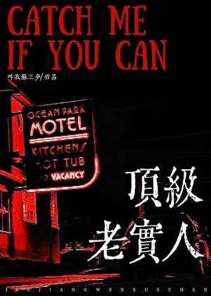 老实人,但玛丽苏 小说封面