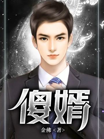 傻婿 小说封面