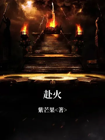 赴火 小说封面