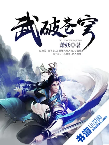武破苍穹 小说封面