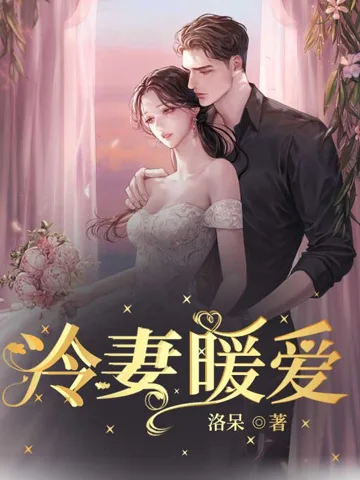 冷妻暖爱 小说封面