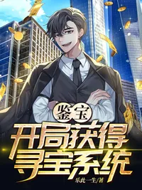 鉴宝:开局获得寻宝系统 小说封面