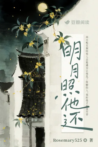 明月照他还 book cover