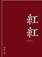 红红 小说封面