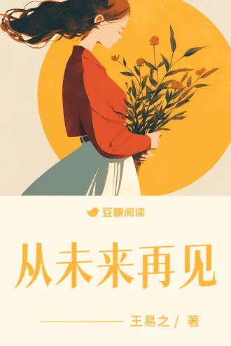 从未来再见 book cover