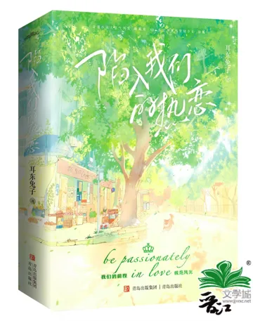 陷入我们的热恋 book cover