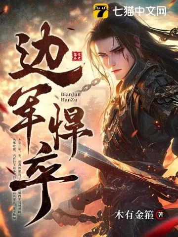 边军悍卒 小说封面