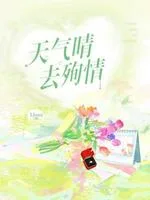 天气晴 去殉情 小说封面