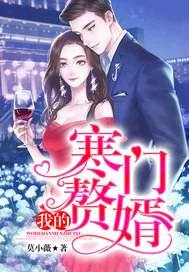 我的寒门赘婿 Buchcover