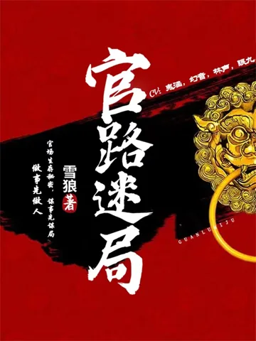 官路迷局 book cover
