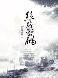 丝路密码 Buchcover