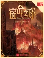 宿命之环 小说封面