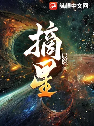摘星 Buchcover