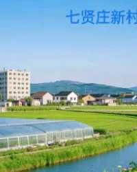 驻村第一书记 book cover