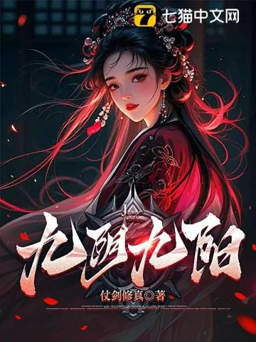 九阴九阳 小说封面