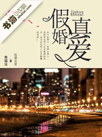 假婚真爱 book cover