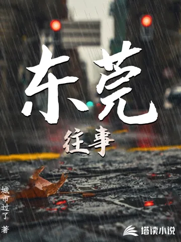 东莞往事 Buchcover