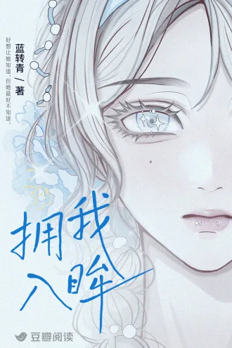 拥我入眸 小说封面