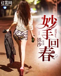 妙手回春 小说封面