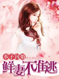 奉子闪婚:鲜妻不准逃 Buchcover