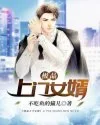 极品上门女婿 小说封面