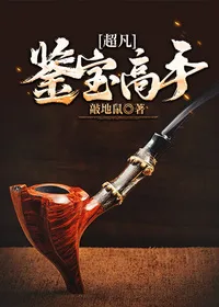 超凡鉴宝高手 Buchcover