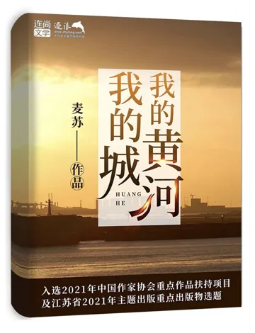 我的黄河我的城 小说封面