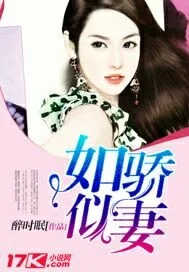 如骄似妻 book cover
