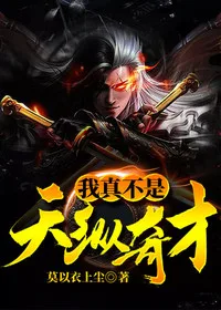 我真不是天纵奇才 小说封面