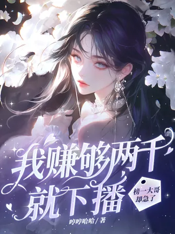 我赚够两千就下播,榜一大哥却急了 小说封面