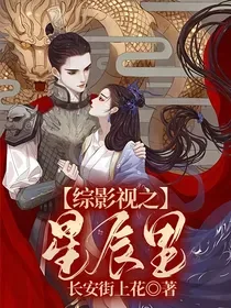综影视之星辰里 book cover
