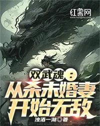 双武魂:从杀未婚妻开始无敌 book cover