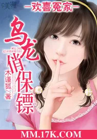 欢喜冤家:乌龙俏保镖 book cover