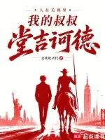 人在美利坚:我的叔叔堂吉诃德 Buchcover