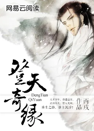 登天奇缘 Buchcover