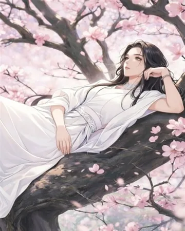 洛红仙途 book cover