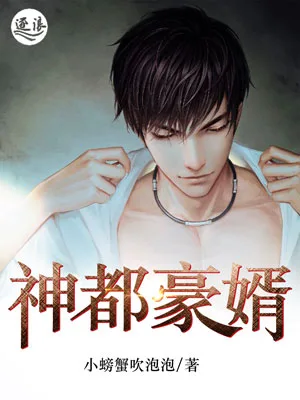 神都豪婿 小说封面