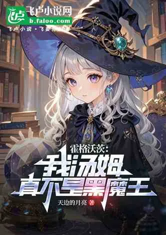 霍格沃茨:我汤姆,真不是黑魔王 小说封面