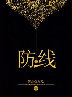 防线 小说封面