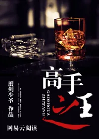 高手之王 book cover