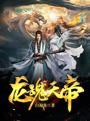 龙魂天帝 小说封面