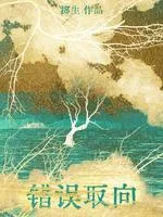 错误取向 Buchcover