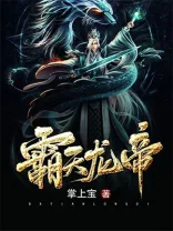 霸天龙帝 Buchcover