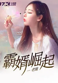霸婿崛起 book cover